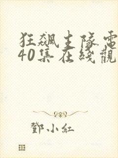 狂飙支队电视剧40集在线观看免费