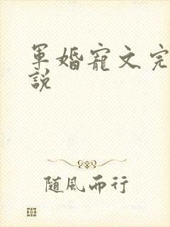 军婚宠文完结小说