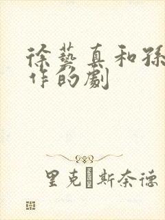 徐艺真和孙越合作的剧
