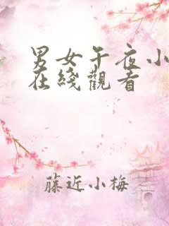 男女午夜小视频在线观看