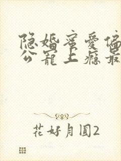 隐婚蜜爱偏执老公宠上瘾最新