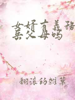女婿有义务赡养岳父母吗
