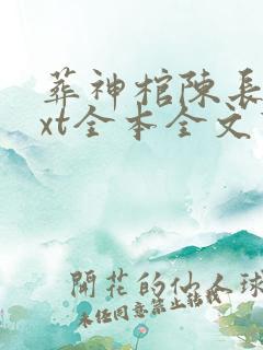 葬神棺陈长安txt全本全文下载