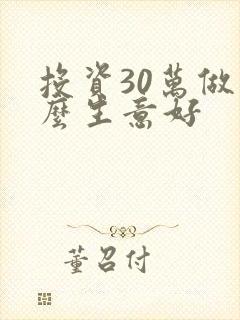 投资30万做什么生意好