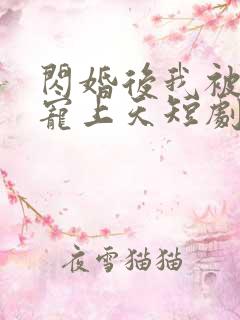 闪婚后我被总裁宠上天短剧