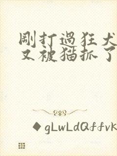刚打过狂犬疫苗又被猫抓了怎么办