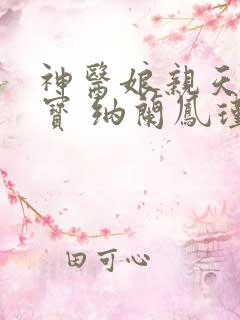 神医娘亲天才萌宝 纳兰凤瑾
