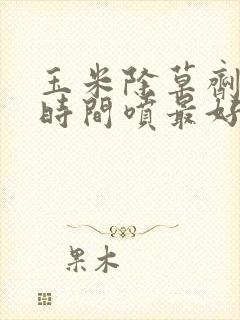 玉米除草剂什么时间喷最好