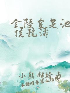 金陵岂是池中物 侯龙涛