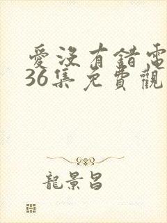 爱没有错电视剧36集免费观看剧情