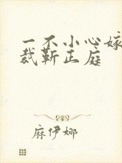 一不小心嫁了总裁靳正庭