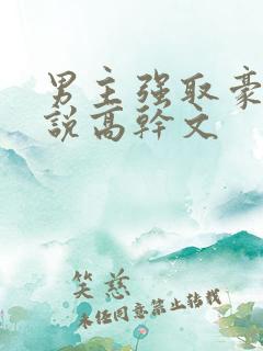 男主强取豪夺小说高干文