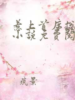 惹上首席总裁2小说免费阅读全文