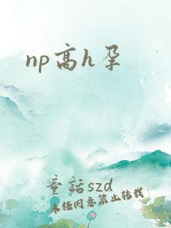 np高h孕