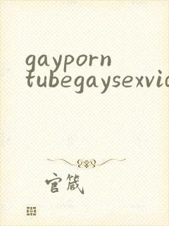 gayporntubegaysexvideo