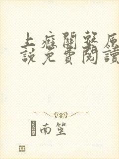 上瘾关系原著小说免费阅读