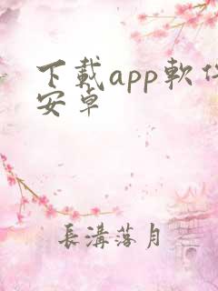 下载app软件安卓