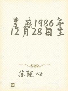 农历1986年12月28日生八字