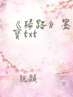 《归路》墨宝非宝txt