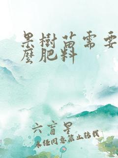 果树苗需要施什么肥料