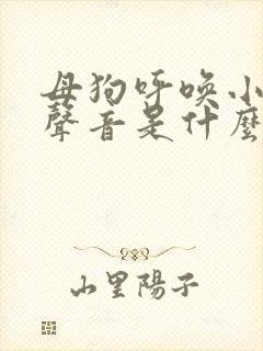 母狗呼唤小狗的声音是什么