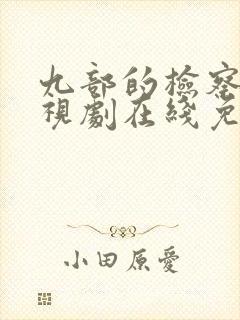九部的检察官电视剧在线免费观看