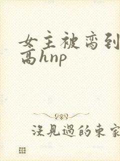 女主被脔到怀孕高hnp