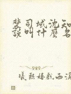 裴司域沈知意小说叫什么名字
