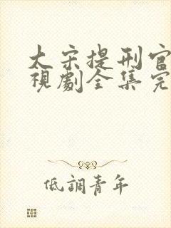 大宋提刑官2电视剧全集完整版
