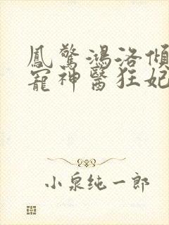 凤惊鸿洛倾风爆宠神医狂妃