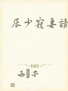辰少宠妻请低调
