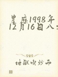 农历1998年12月16日八字