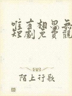 唯有相思无尽处短剧免费观看