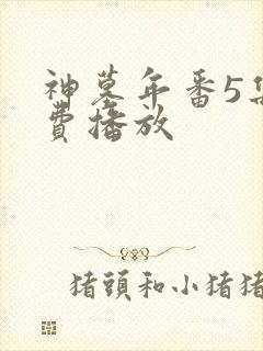 神墓年番5集免费播放