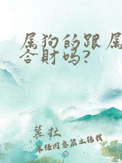 属狗的跟属龙的合财吗?