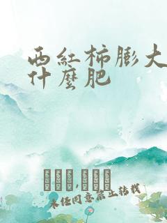西红柿膨大期用什么肥