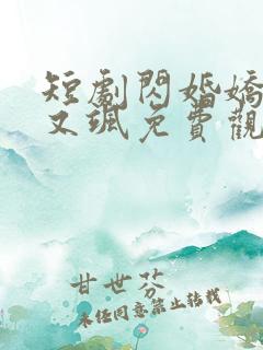 短剧闪婚娇妻美又飒免费观看