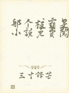 那个校霸是我的小说免费阅读