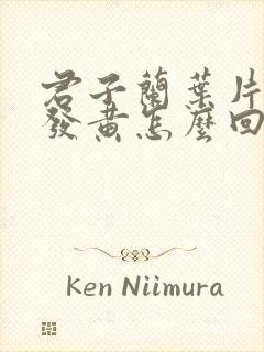 君子兰叶片干枯发黄怎么回事