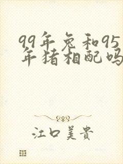 99年兔和95年猪相配吗