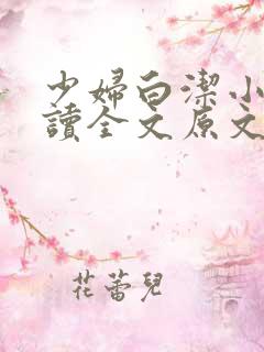 少妇白洁小说阅读全文原文