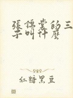 张锦裳的三个儿子叫什么