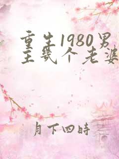 重生1980男主几个老婆