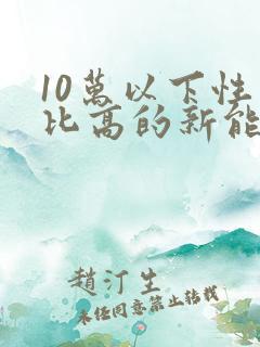 10万以下性价比高的新能源车