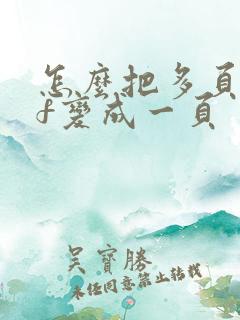 怎么把多页pdf变成一页
