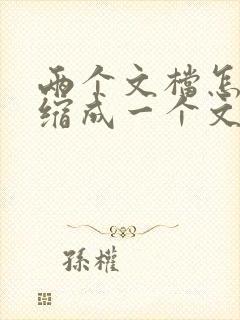 两个文档怎么压缩成一个文件夹