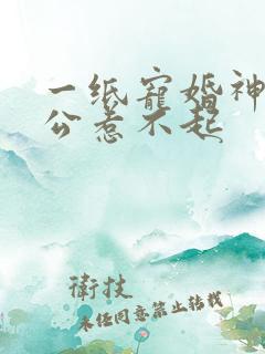 一纸宠婚神秘老公惹不起