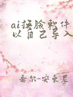ai换脸软件可以自己导入视频免费