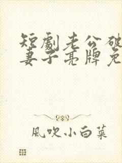 短剧老公破产夜妻子亮牌免费观看