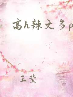 高h辣文多p